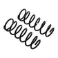 Rear Coil Spring Set